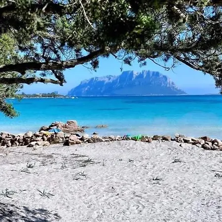 Azzurro Luxury Butique